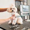 Curso de peluquería canina