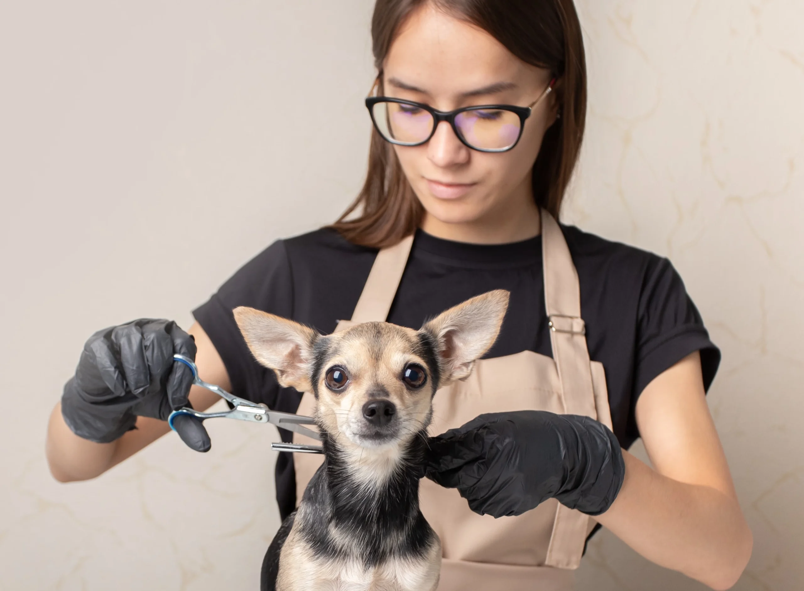 peluqueria-canina-madrid