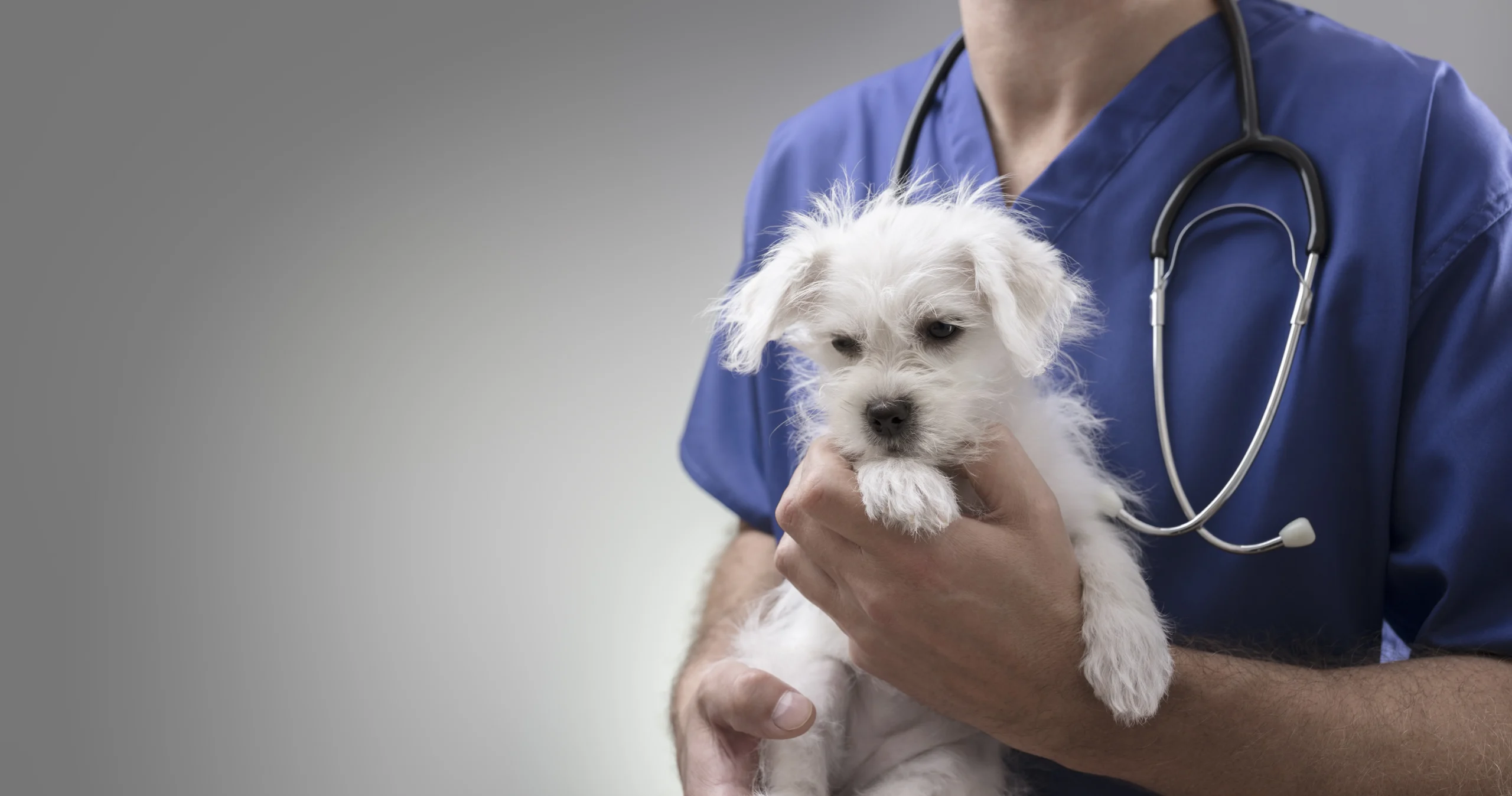 Salud y nutrición canina