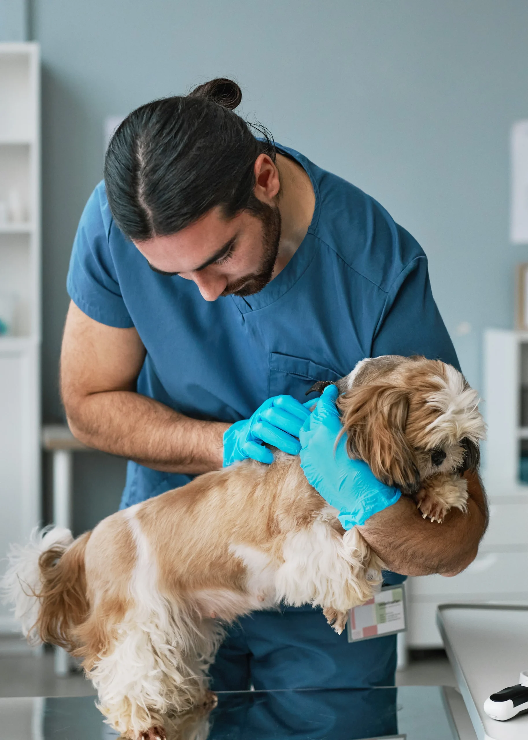Sobre nosotros auxiliar veterinario